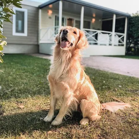 Çiftlik konaklama Agriturismo Ca' Del Sol